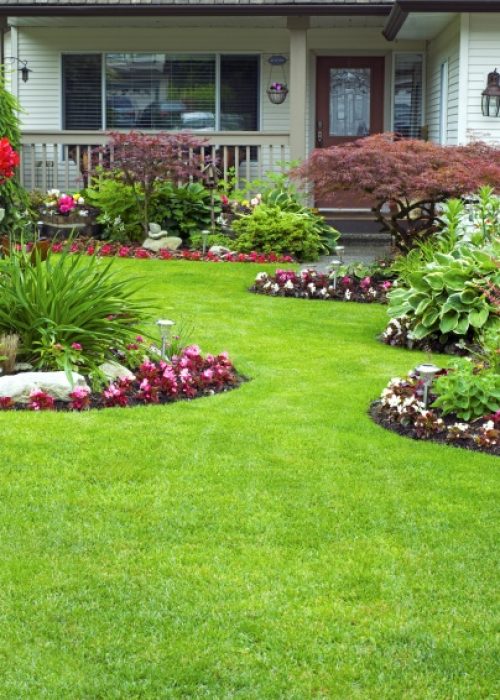 landscape contractor